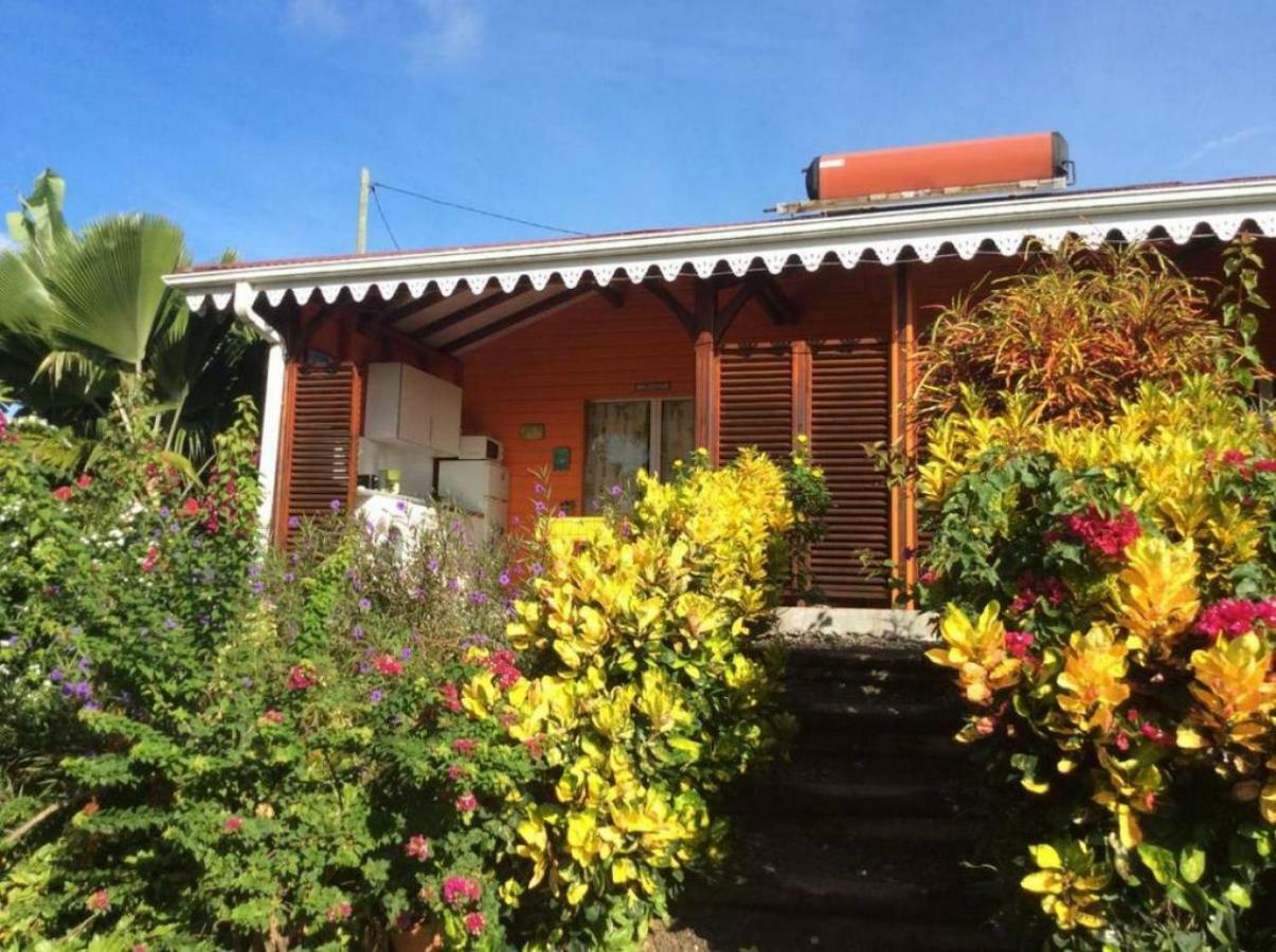 Villa Manguier Riviere-Salee Exterior foto